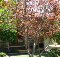 Akame - Accommodation Gladstone