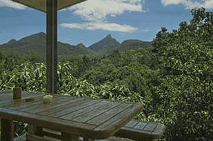 Mavis's Kitchen And Cabins - Accommodation Gladstone 1