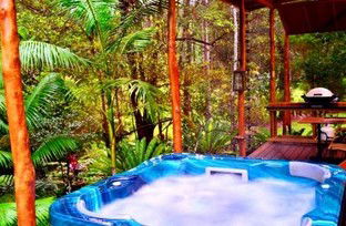 A Waterfall Hideout-Rainforest Cabin For Couples - Accommodation Gladstone 5