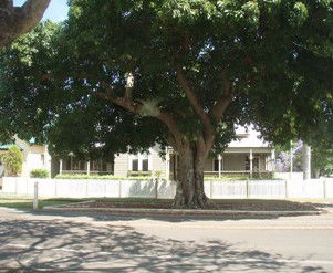 Annies Bed And Breakfast Grafton - Accommodation Gladstone 3
