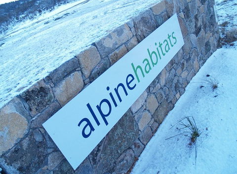 Alpine Habitats - Accommodation Gladstone 4
