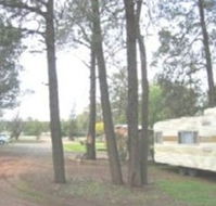The Kelpie Caravan Park - Accommodation Gladstone