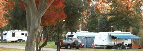 Austin Tourist Park - Accommodation Gladstone 0