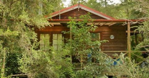 Bluegums Cabins - Accommodation Gladstone 2