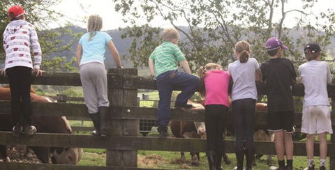 Ashmar Farm Stay - Accommodation Gladstone 4