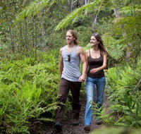 Blackheath Glen Tourist Park - Accommodation Gladstone