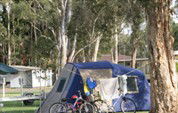 BIG4 Lake Macquarie - Monterey Tourist Park - Accommodation Gladstone 5