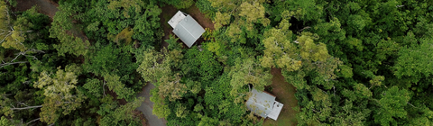 Rainforest Ranch - Accommodation Gladstone 5