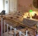 A Winter-Rose Cottage Bed and Breakfast - Accommodation Gladstone