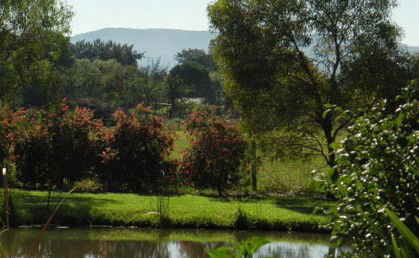 Amazing Country Escapes - Evanslea By The River - Accommodation Gladstone 4