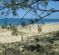 Seawinds Caravan Park - Accommodation Gladstone 1