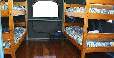 Lady Elliot Island Eco Resort - Accommodation Gladstone 5