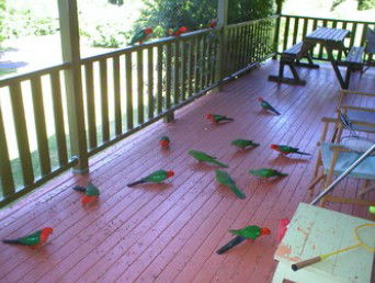 A Little Bit Of Heaven - Holiday Home - Accommodation Gladstone 8