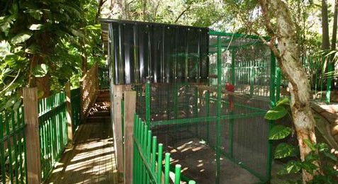 Ashmore Palms Holiday Village - Accommodation Gladstone 3