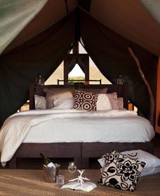 Sal Salis Ningaloo Reef - Accommodation Gladstone 0