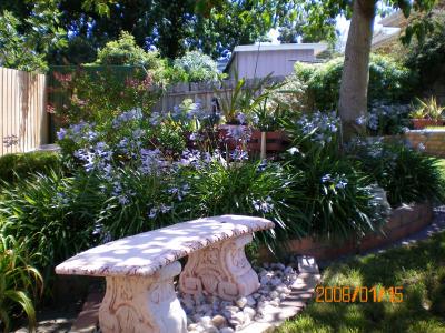 Austin Rise Bed And Breakfast - Accommodation Gladstone 4