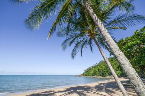 Roydon Beachfront Holiday Apartments - Accommodation Gladstone 4