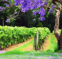 Bago Vineyards - Accommodation Gladstone