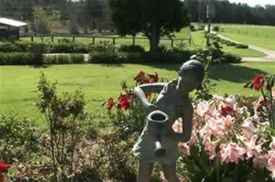 Jacaranda Country Lodge - Accommodation Gladstone 2
