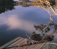 Jacaranda Country Lodge - Accommodation Gladstone 4