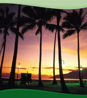 Bay Village Tropical Retreat, Cairns - Accommodation Gladstone 1