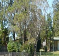Nimbin Backpackers at Grannys Farm - Accommodation Gladstone