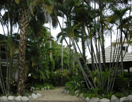 High Chaparral Motel And Apartments - Accommodation Gladstone 1