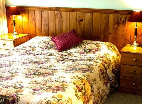 Mountain View Motor Inn And Holiday Lodges - Accommodation Gladstone 1