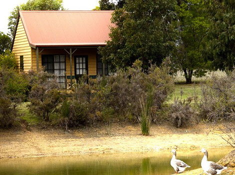 Mountain View Motor Inn And Holiday Lodges - Accommodation Gladstone 2