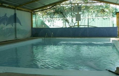 Wycliffe Well Holiday Park - Accommodation Gladstone 1