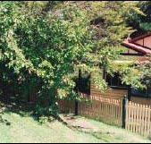 Apple Tree Cottage - Accommodation Gladstone