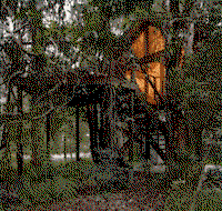 Wanderers Retreat Port Stephens - Accommodation Gladstone