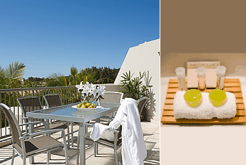 Noosa Tropicana - Accommodation Gladstone 1