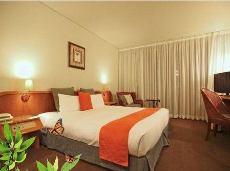 Absolute Beachfront Novotel Pacific Bay - Accommodation Gladstone 1