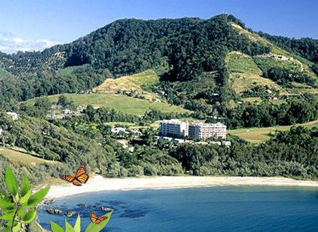 Absolute Beachfront Novotel Pacific Bay - Accommodation Gladstone 3