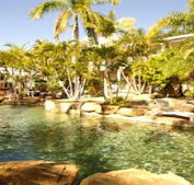 Colonial Palms Hotel Best Western - Accommodation Gladstone