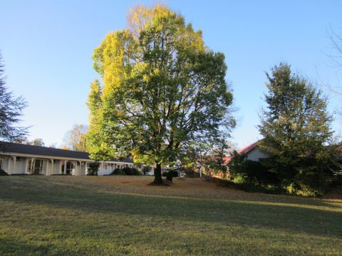 Moore Park Inn - Accommodation Gladstone 0