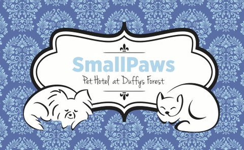 SmallPaws Pet Hotel - Accommodation Gladstone 0