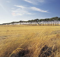 Port Wakefield Motel - Accommodation Gladstone