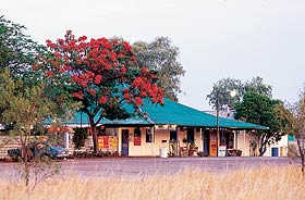 Wauchope Hotel And Roadhouse - Accommodation Gladstone 0