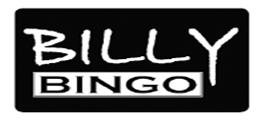 Billy Bingo @ Village Green Hotel - Accommodation Gladstone 0