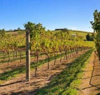 DeVine Escape - Accommodation Gladstone