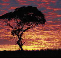 Kimba Caravan Park amp Motel - Accommodation Gladstone