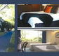 The Albany - Accommodation Gladstone