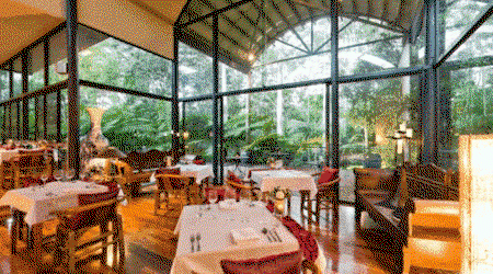 Pethers Rainforest Retreat - Accommodation Gladstone 1