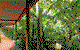 Pethers Rainforest Retreat - thumb 4