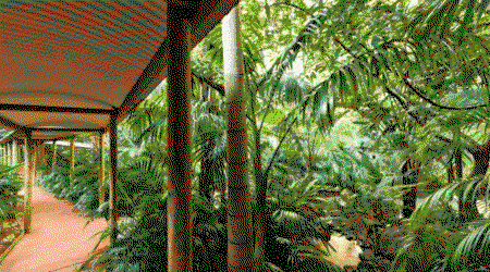 Pethers Rainforest Retreat - Accommodation Gladstone 4