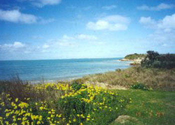 Southern Ocean Tourist Park - Accommodation Gladstone 1