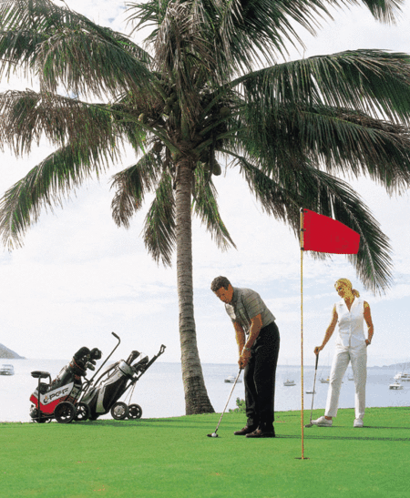 Adventure Island Whitsundays (south Molle Island) - Accommodation Gladstone 2