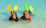 Adventure Island Whitsundays (south Molle Island) - Accommodation Gladstone 5